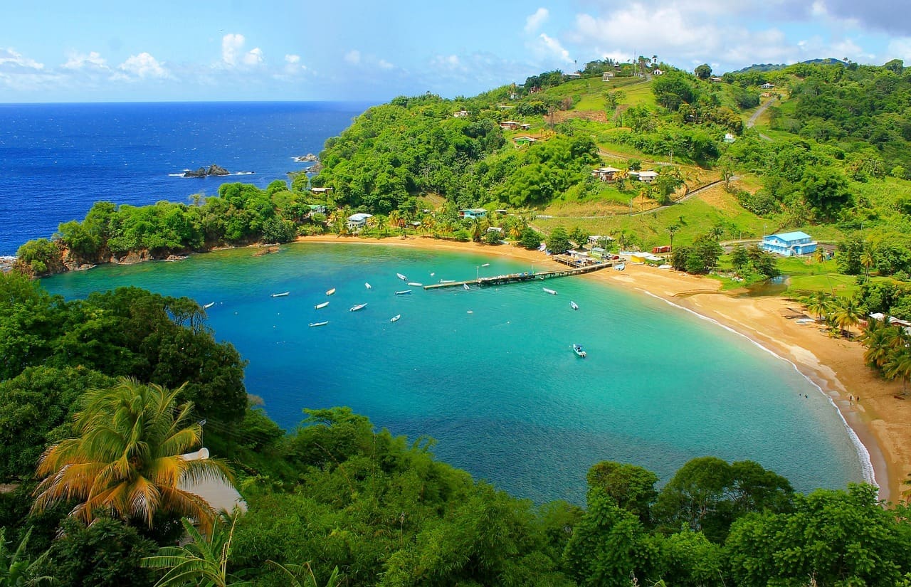 British Man Attacked By Shark Only 10 Meters From Shore In Tobago